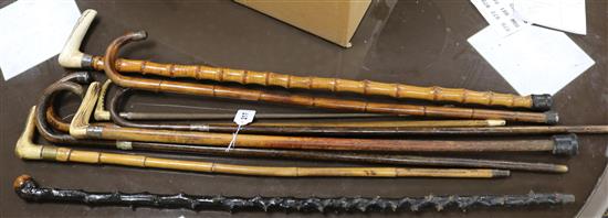 A group of walking sticks, some silver mounted and a riding crop